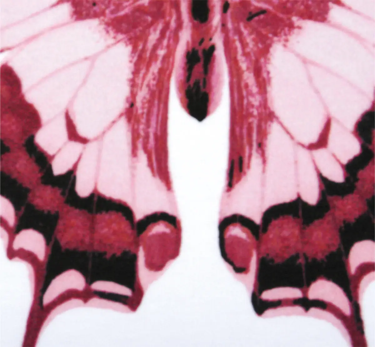 Pink Papilio T-shirt